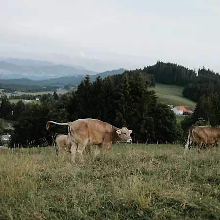 Apartamento Heimatel - Bluemele