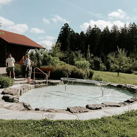 Apartamento Heimatel - Bluemele Scheidegg